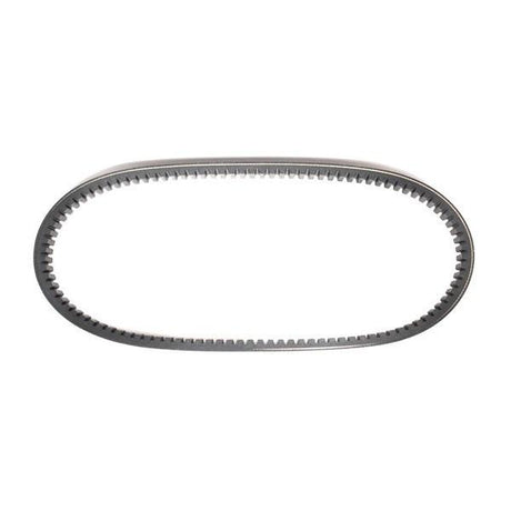 20 Series Torque Converter Belts