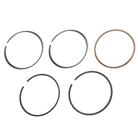 Piston Rings