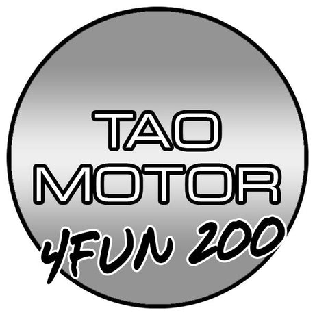 Tao Tao 4FUN 200 Go-Kart Parts