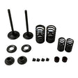 Valve Set With Springs and Clips - CF250 CH250 CN250 Engines - Version 9 - VMC Chinese Parts