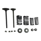 Valve Set With Springs and Clips - CG250 Engines - Version 8 - VMC Chinese Parts