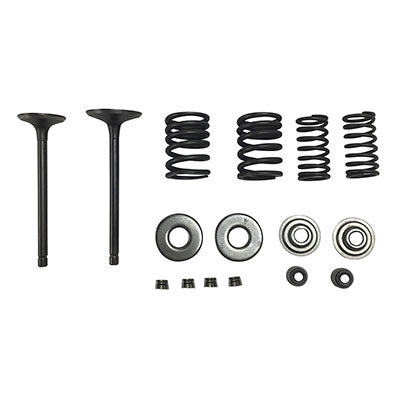 Valve Set With Springs and Clips - Linhai Yamaha 260cc 300cc Engines - Version 7 - VMC Chinese Parts