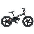 Moose Racing RS-16 Electric Bike - Agroid - Balance E-Bike - VMC Chinese Parts