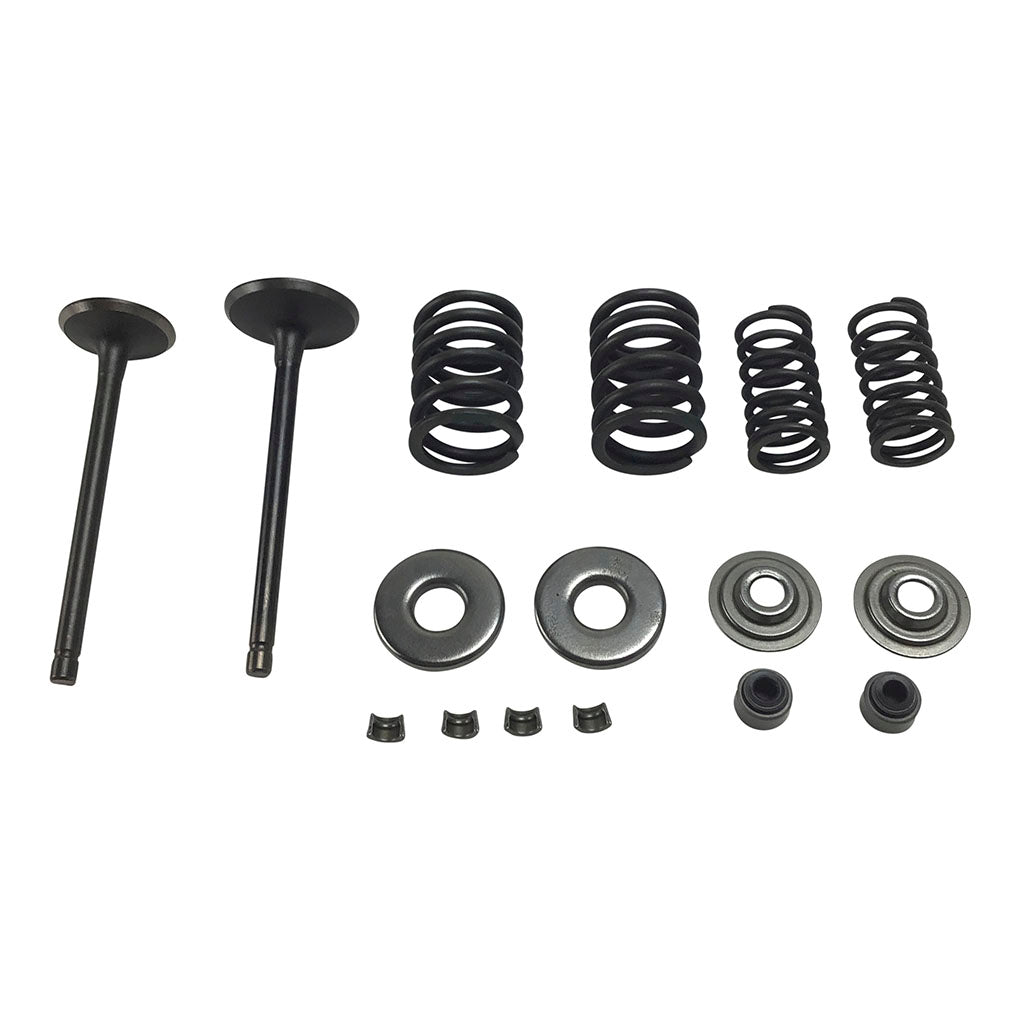 Valve Set With Springs and Clips - Linhai Yamaha 260cc 300cc Engines - Version 7 - VMC Chinese Parts