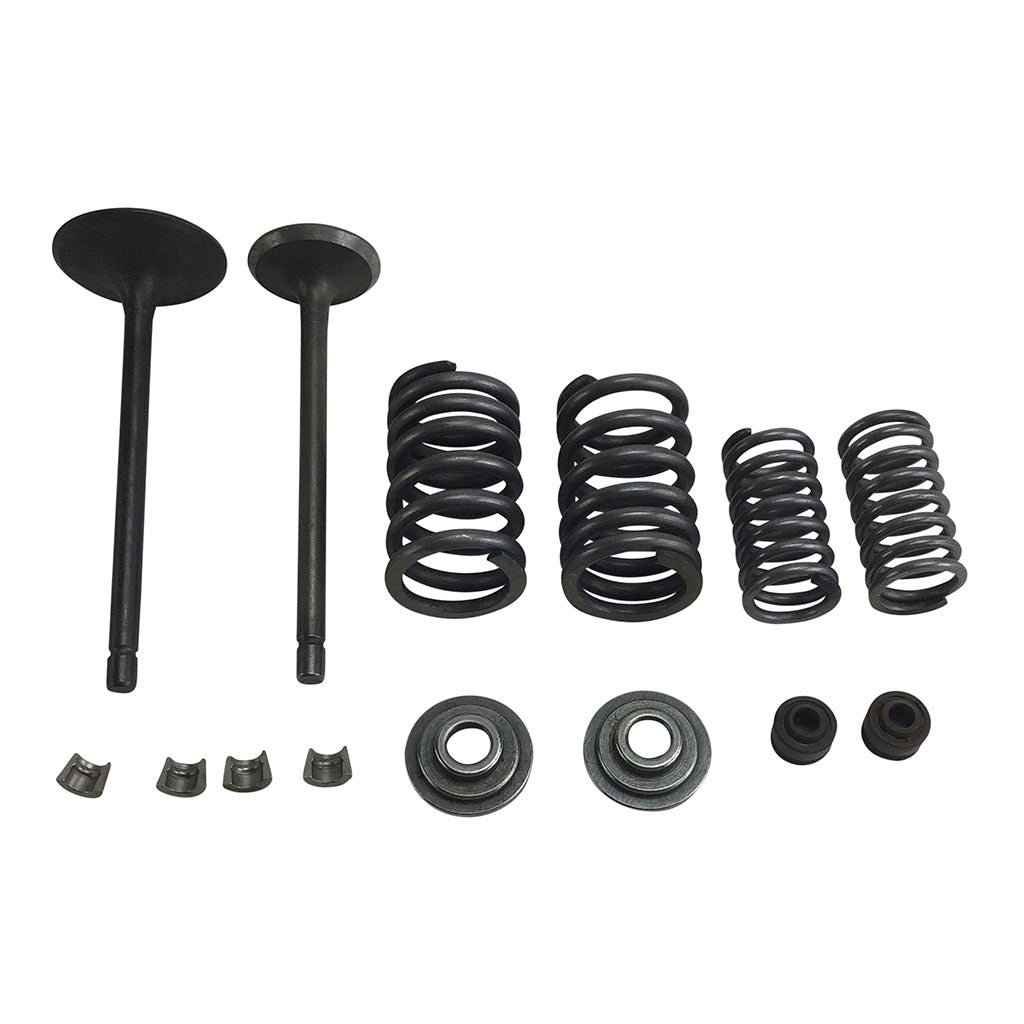 Valve Set With Springs and Clips - CG250 Engines - Version 8 - VMC Chinese Parts