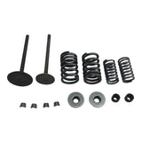 Valve Set With Springs and Clips - CG250 Engines - Version 8 - VMC Chinese Parts