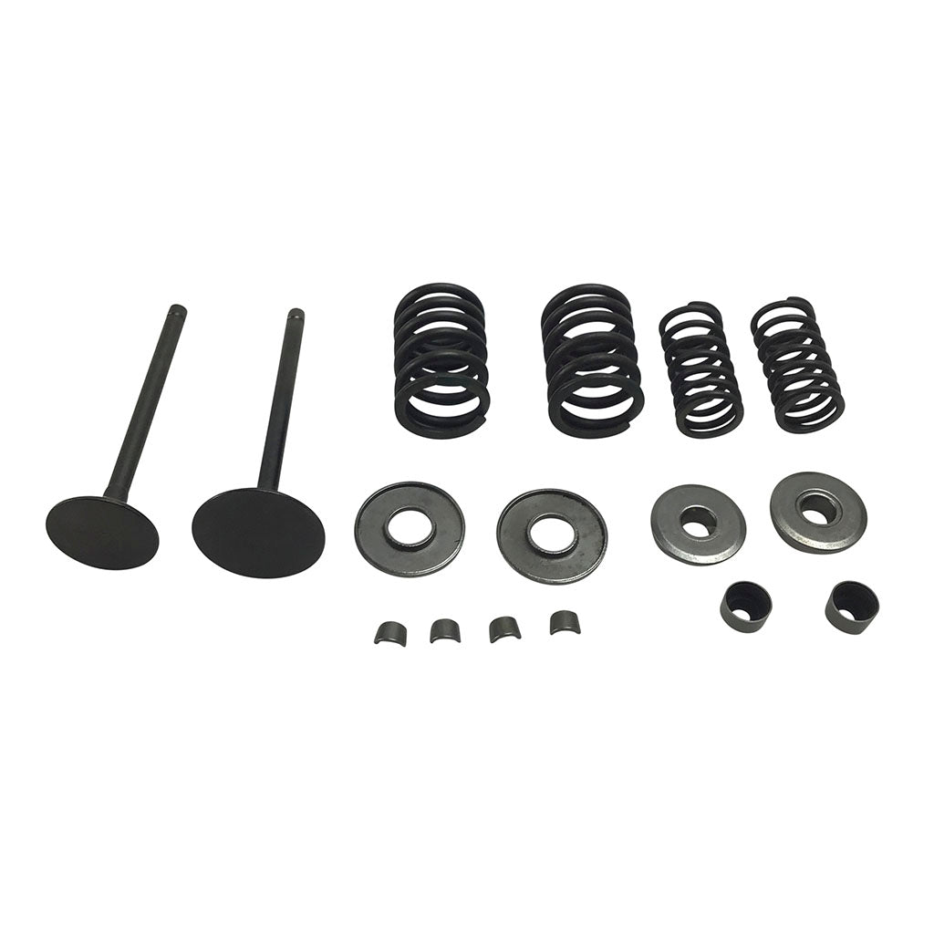 Valve Set With Springs and Clips - Linhai Yamaha 260cc 300cc Engines - Version 7 - VMC Chinese Parts