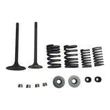 Valve Set With Springs and Clips - CG250 Engines - Version 8 - VMC Chinese Parts