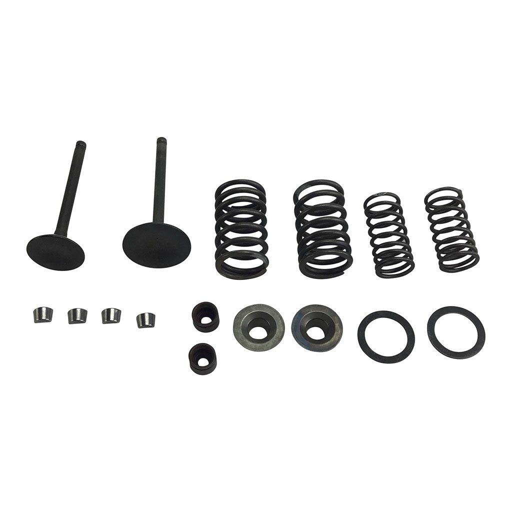 Valve Set With Springs and Clips - GY6 125cc 150cc - Version 5 - VMC Chinese Parts