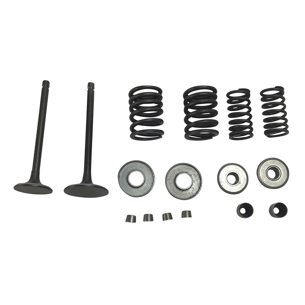 Valve Set With Springs and Clips - Linhai Yamaha 260cc 300cc Engines - Version 7 - VMC Chinese Parts